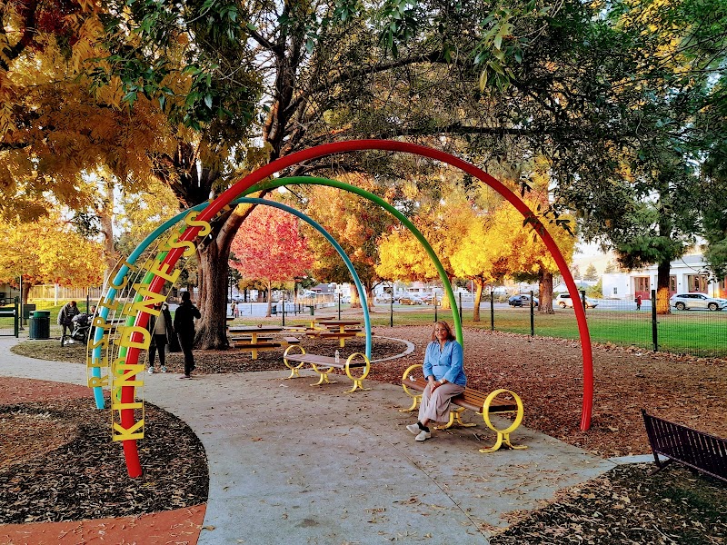 Mia’s Dream Come True: All Abilities Playground photo 4