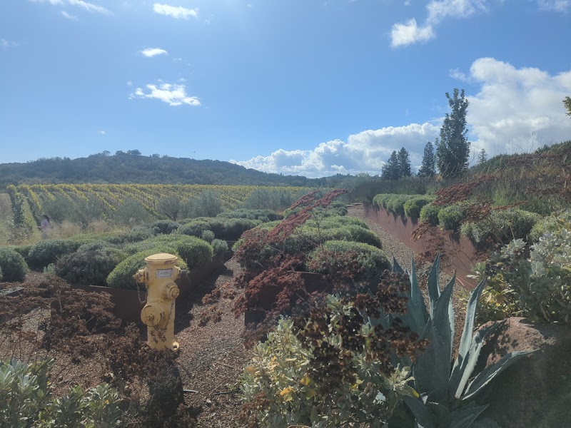 Napa Wine Tours By Joy photo 4