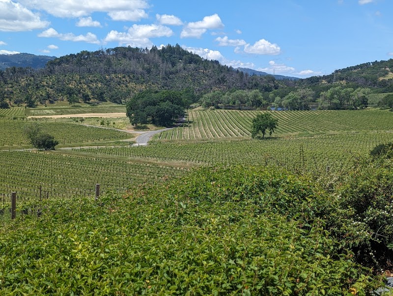 Photo of Napa Wine Tours By Joy