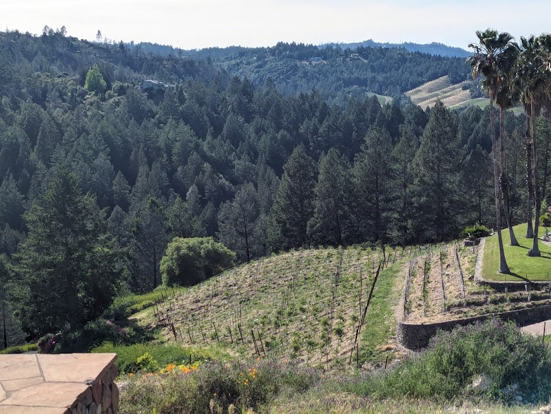 Napa Wine Tours By Joy photo 5