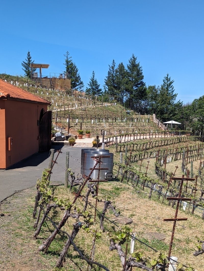 Napa Wine Tours By Joy photo 3
