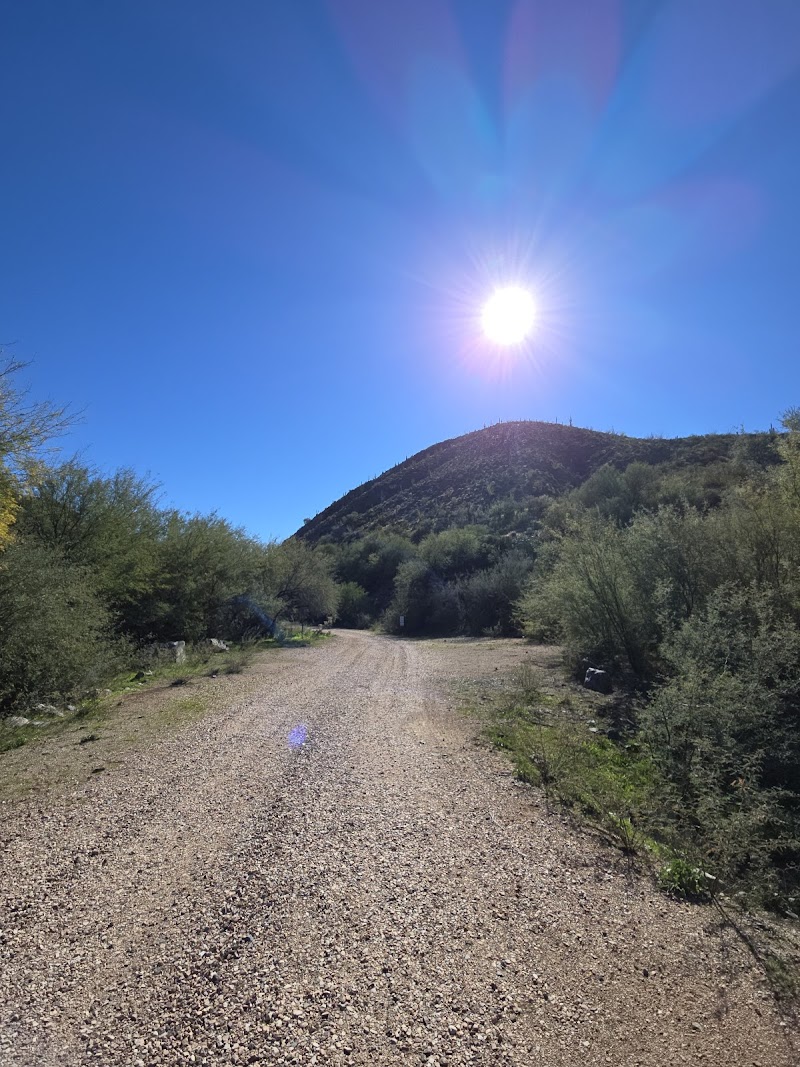 Christmas Recreation Site photo 3