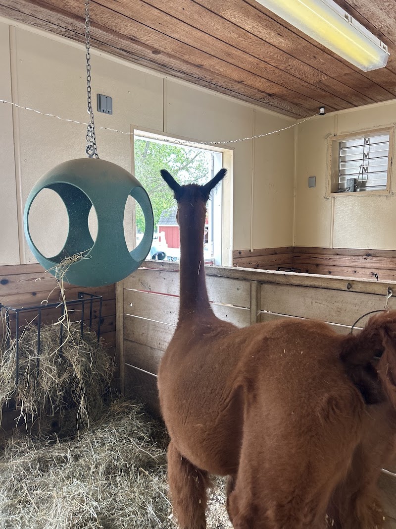 Columbian Park Zoo photo 3