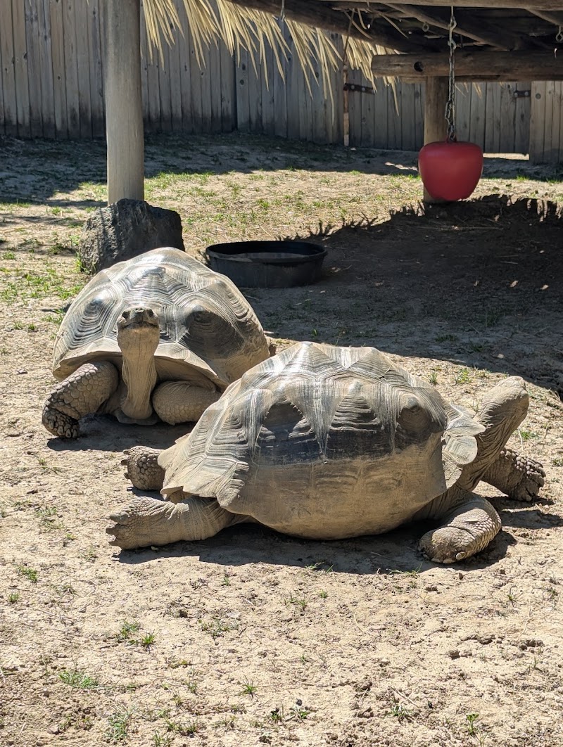 Columbian Park Zoo photo 5