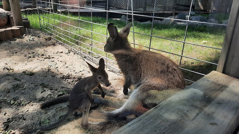 Columbian Park Zoo photo 2