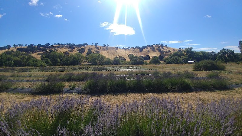 Soul Food Farm photo 3