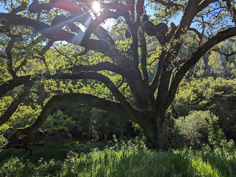 Loma Alta Preserve photo 5