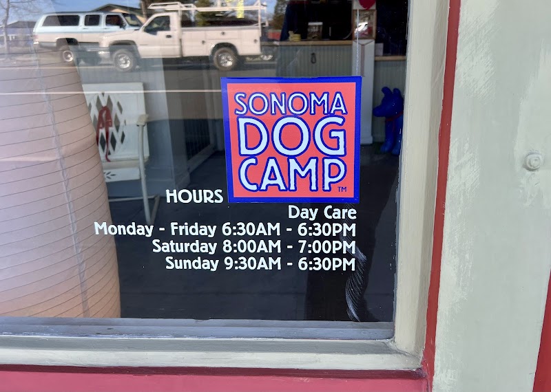 Photo of Sonoma Dog Camp