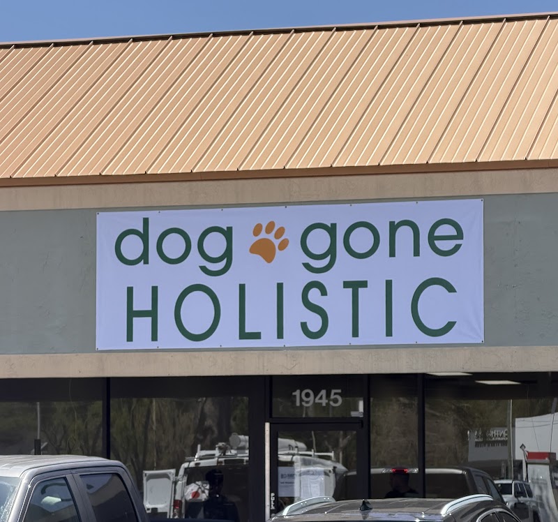 Photo of Dog Gone Holistic