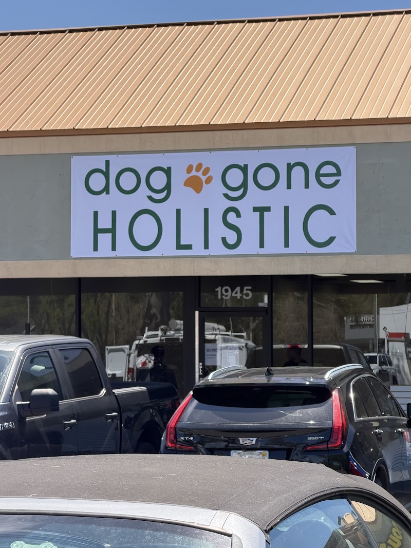 Dog Gone Holistic photo 5