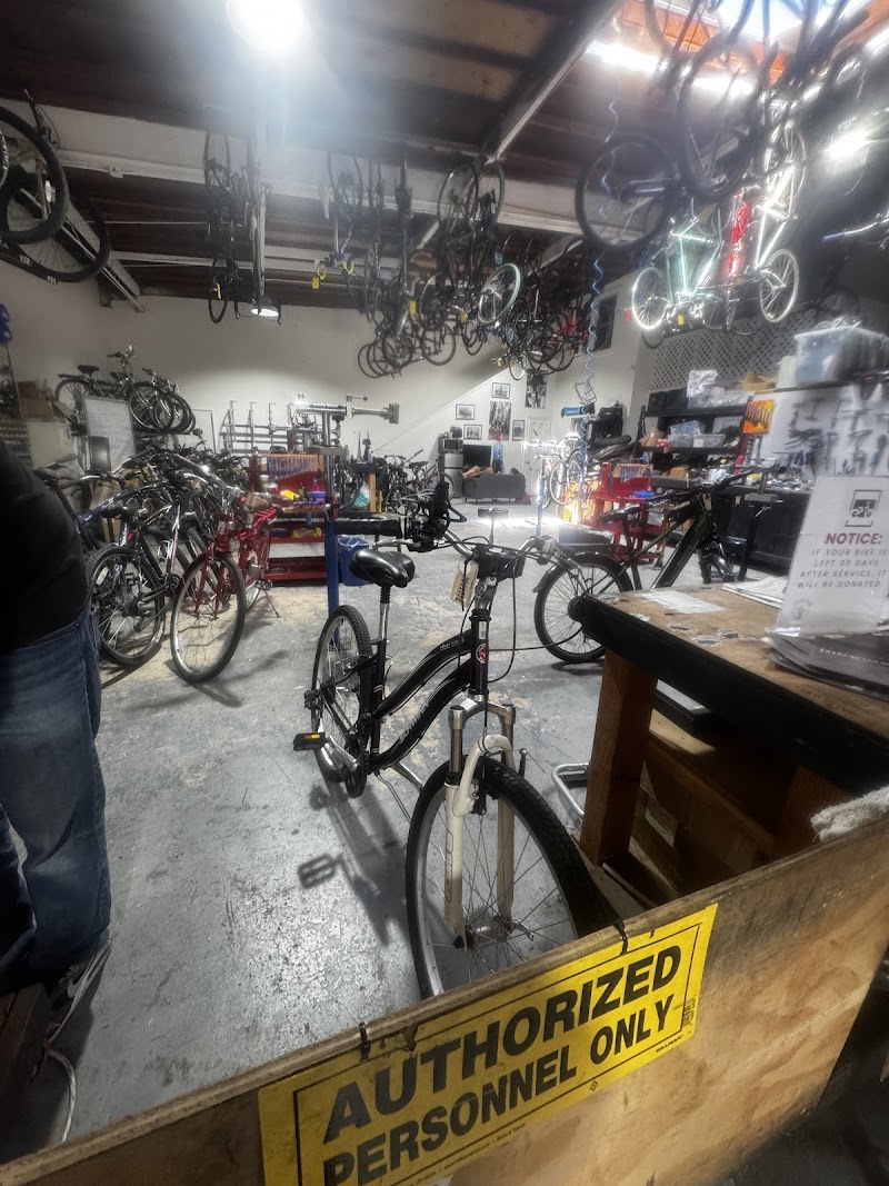 Photo of Live In Peace Bike Shop