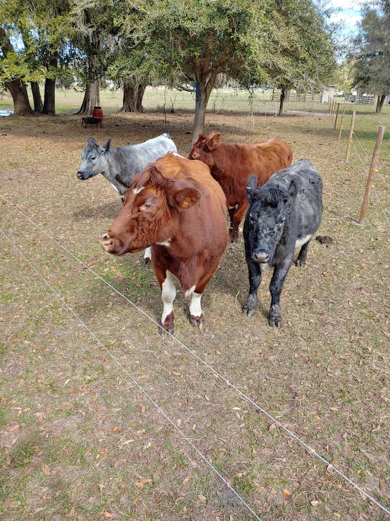 Photo of Bremily Ranch
