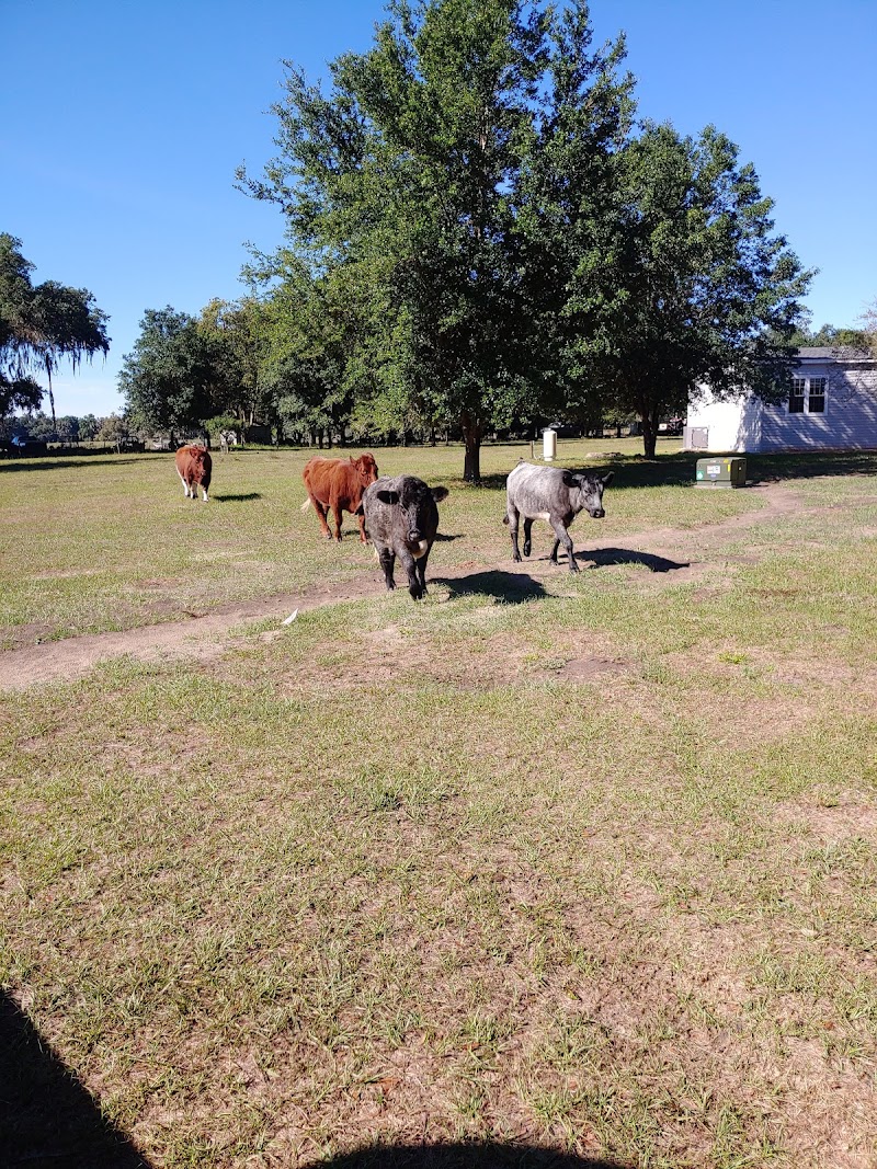 Bremily Ranch photo 4