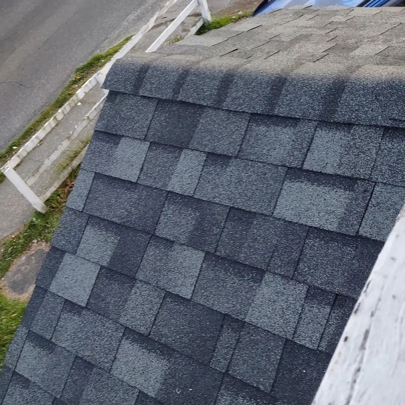 Any Roof Repair & Install photo 4