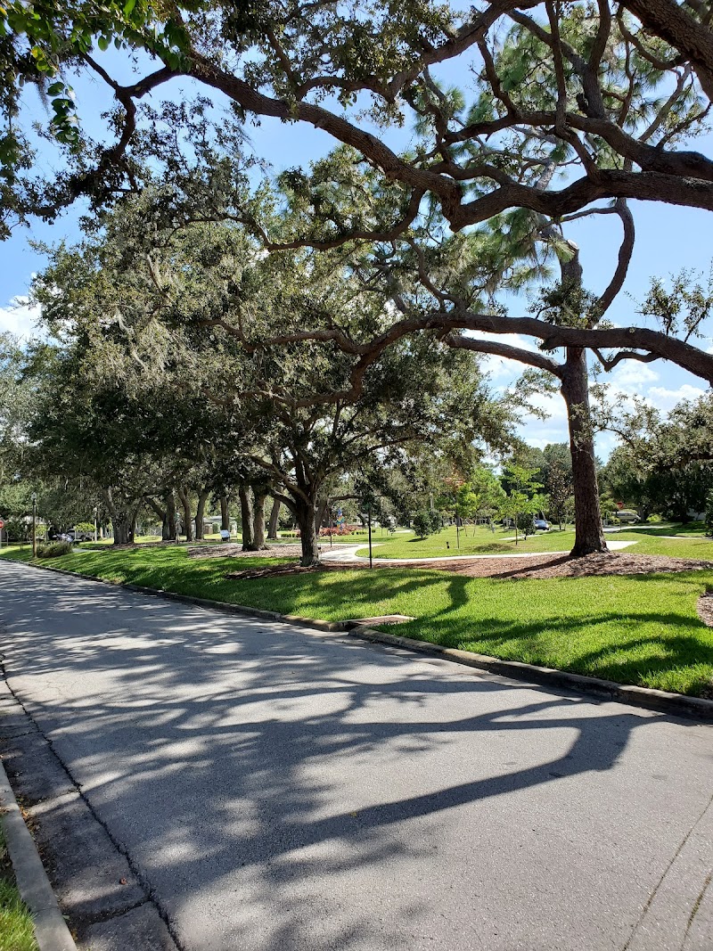 Pat Wall Park photo 3