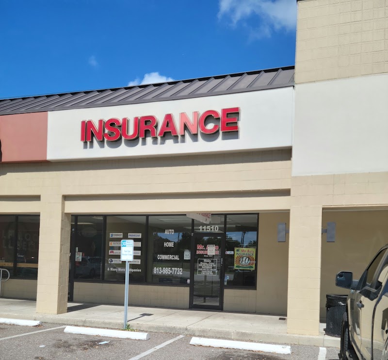 Mr. Auto Insurance of Tampa photo 2