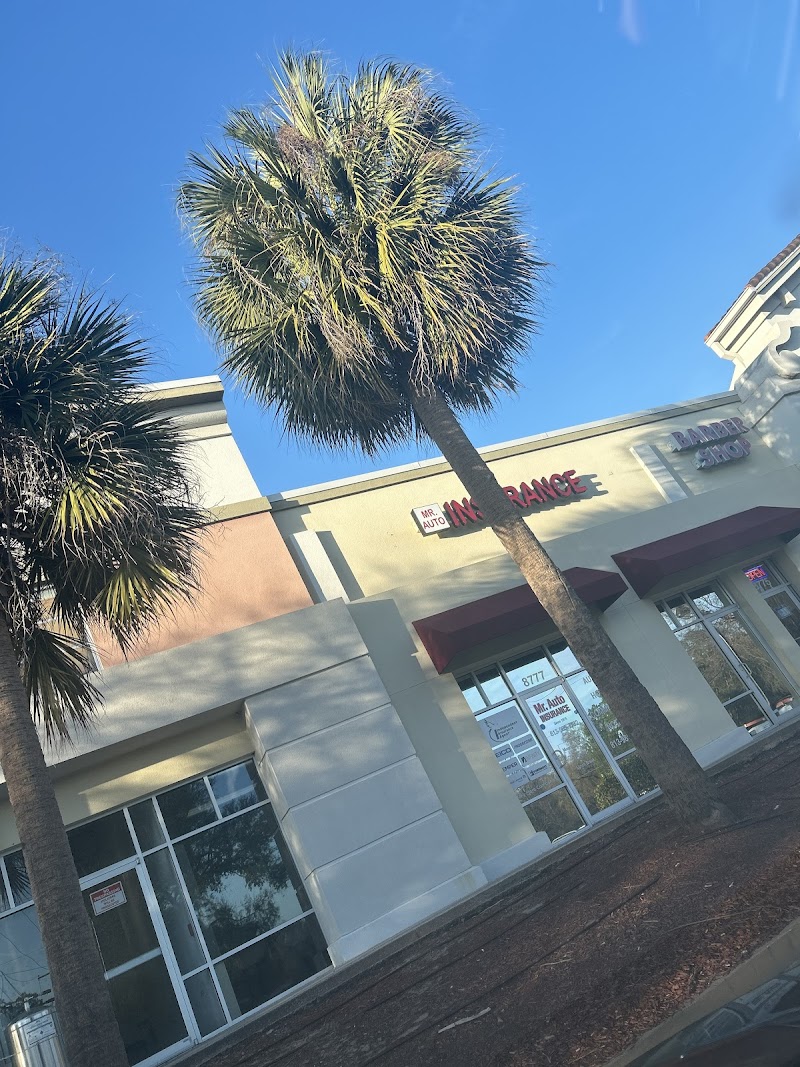 Photo of Mr. Auto Insurance of Tampa