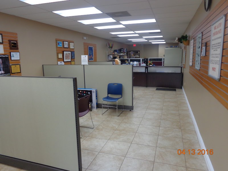 Mr. Auto Insurance of Tampa photo 4