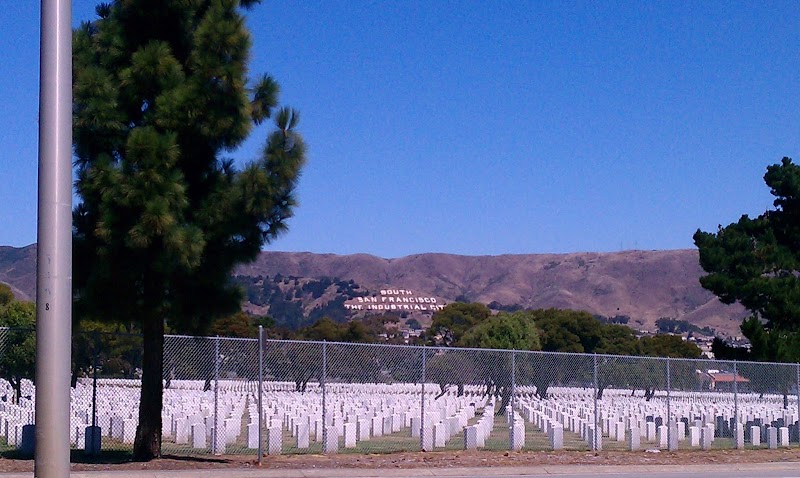Plan To Travel photo 4