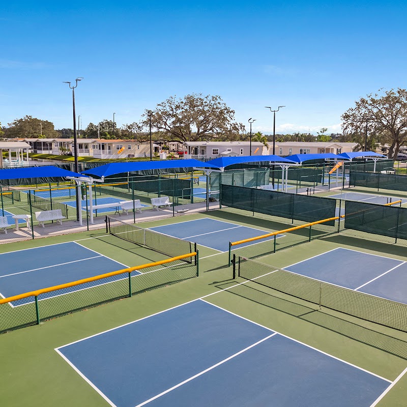 Sun Outdoors Sarasota photo 5