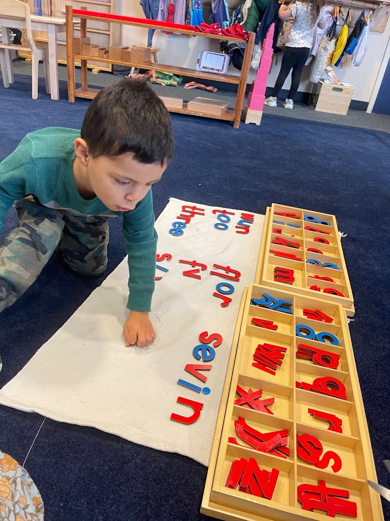 Peak Avenue Montessori School of Silicon Valley photo 2