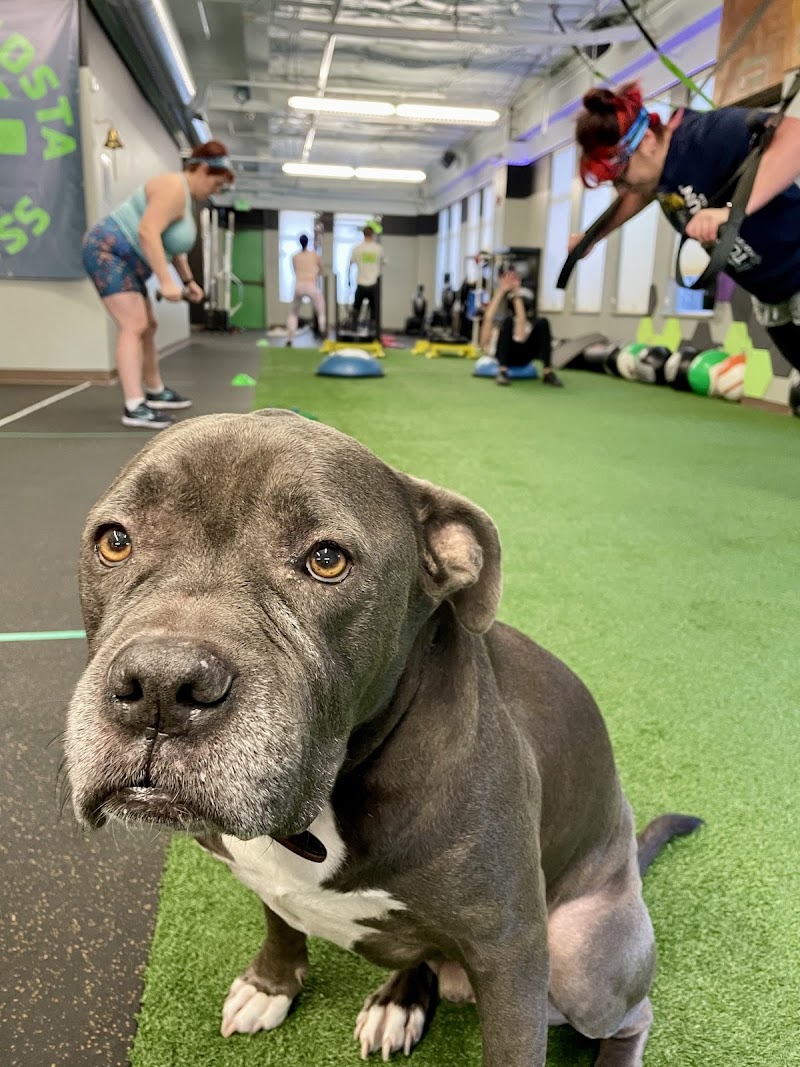Photo of Contra Costa Fitness