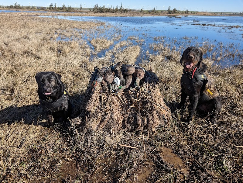 River Dog Duck Club photo 4