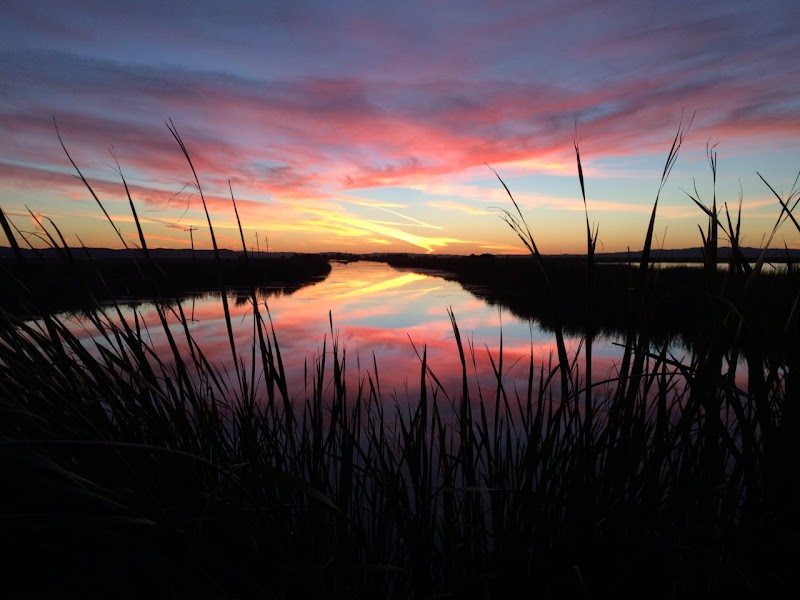 Photo of River Dog Duck Club