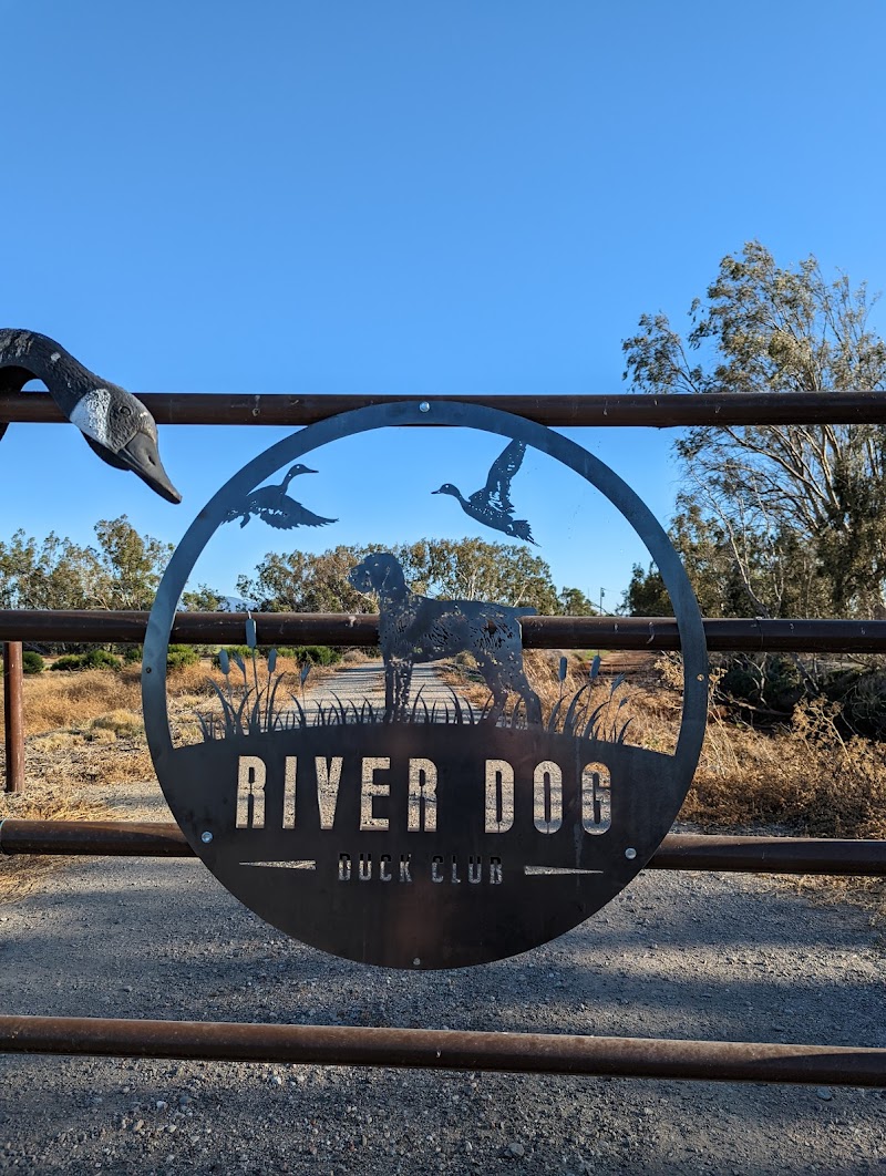 River Dog Duck Club photo 2