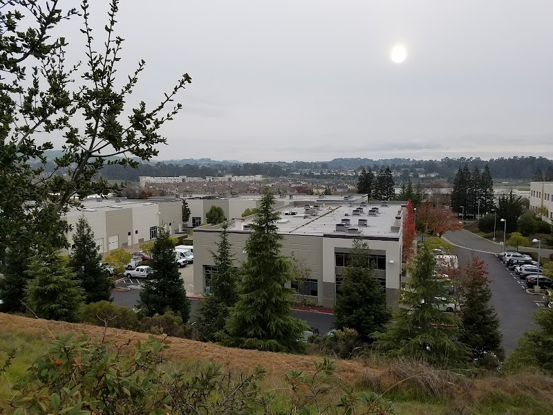 Employment & Human Services photo 5