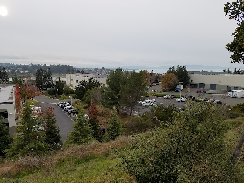 Employment & Human Services photo 2