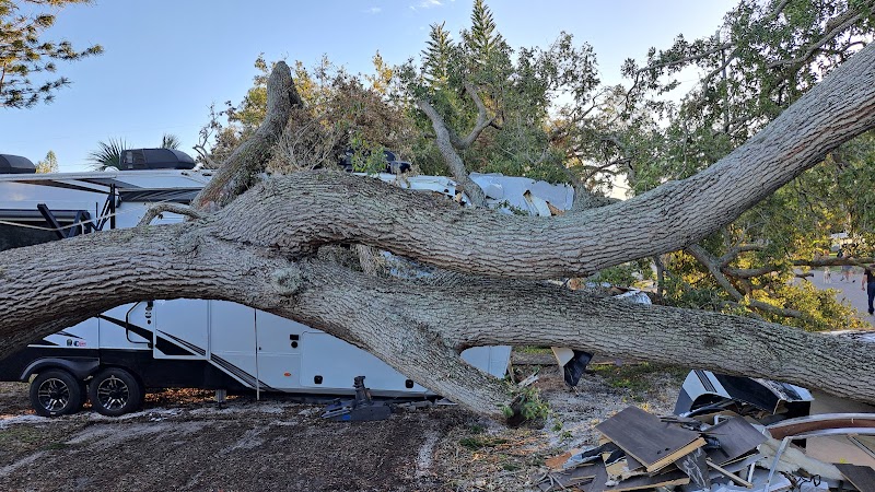 Photo of A to Z Tree Service