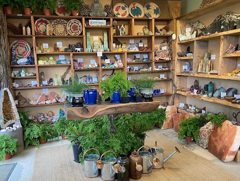 CNL Native Plant Nursery photo 3
