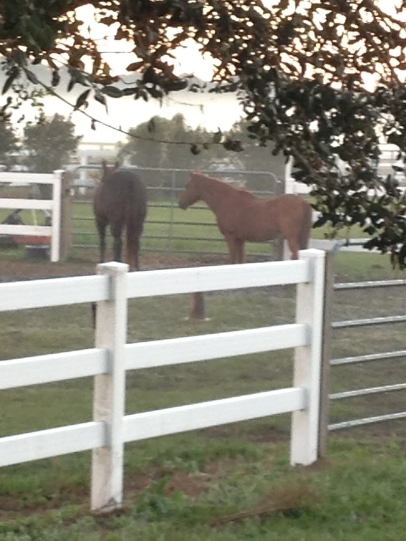 Photo of Rockin' V Ranch LLC