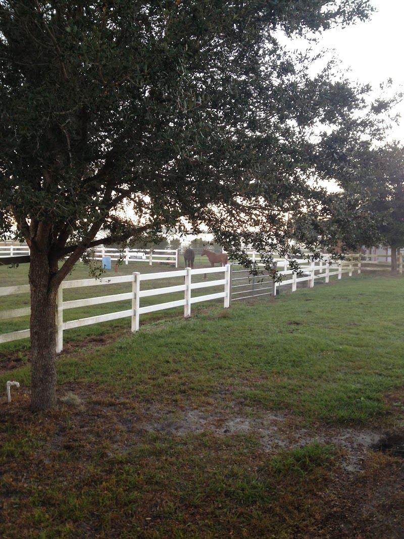 Rockin' V Ranch LLC photo 2