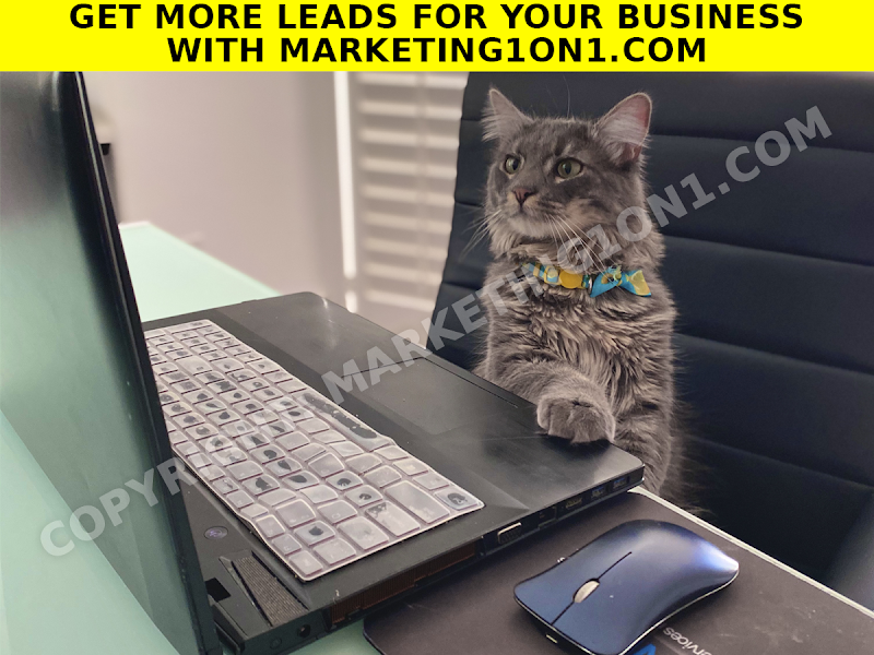 Photo of Digital Marketing 1on1 SEO