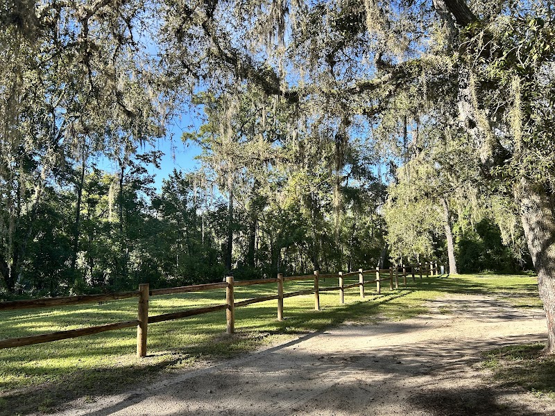 River Junction Campground Withalacochee State Forest photo 3