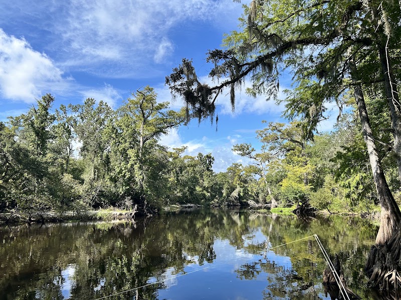 Photo of River Junction Campground Withalacochee State Forest