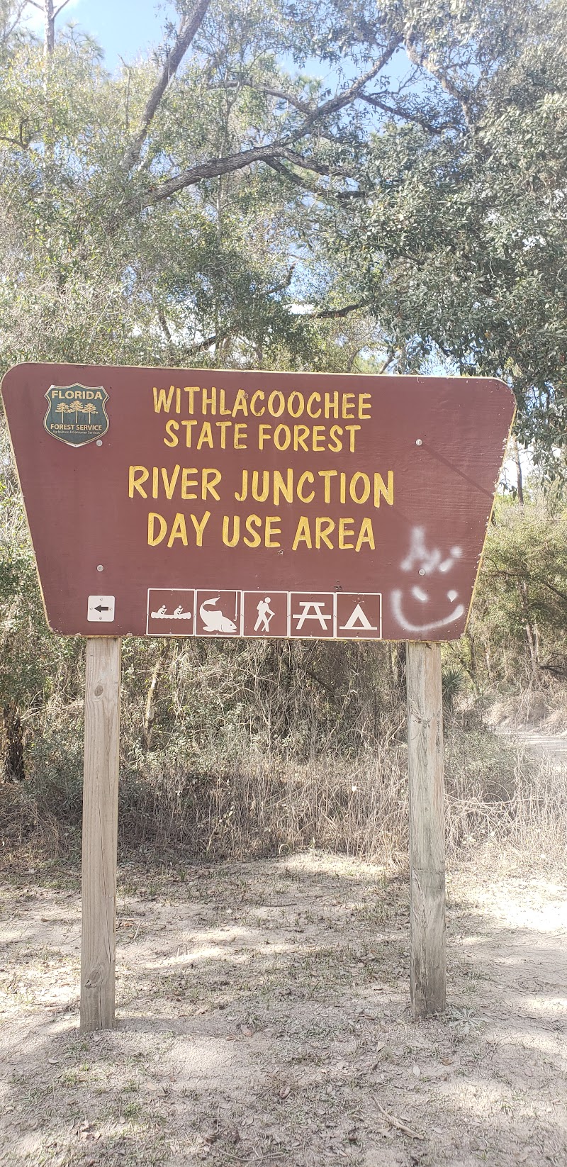 River Junction Campground Withalacochee State Forest photo 4