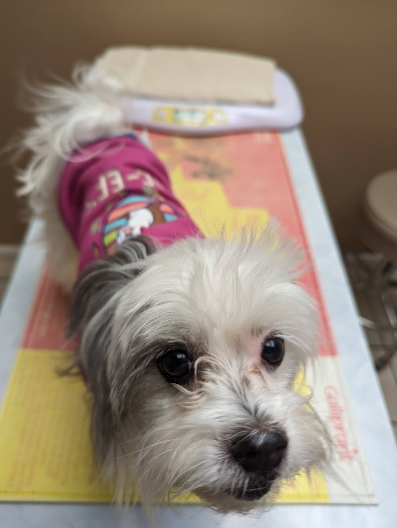 Westside Animal Clinic photo 3