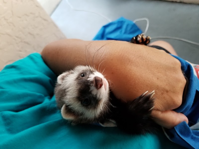 Westside Animal Clinic photo 4