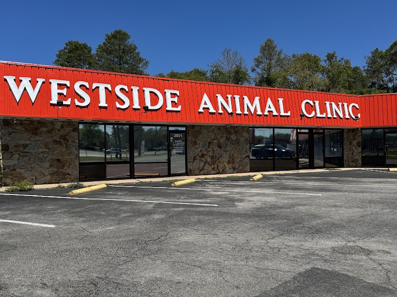 Westside Animal Clinic photo 2