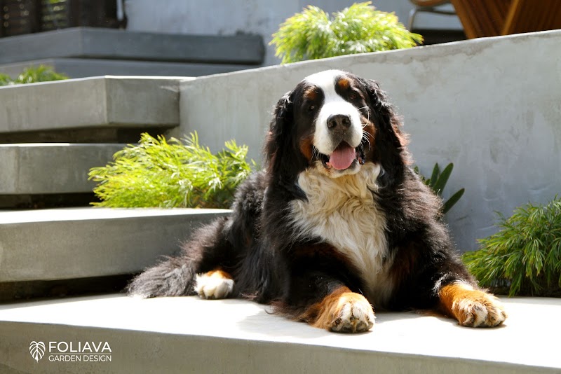Foliava Garden Design photo 2
