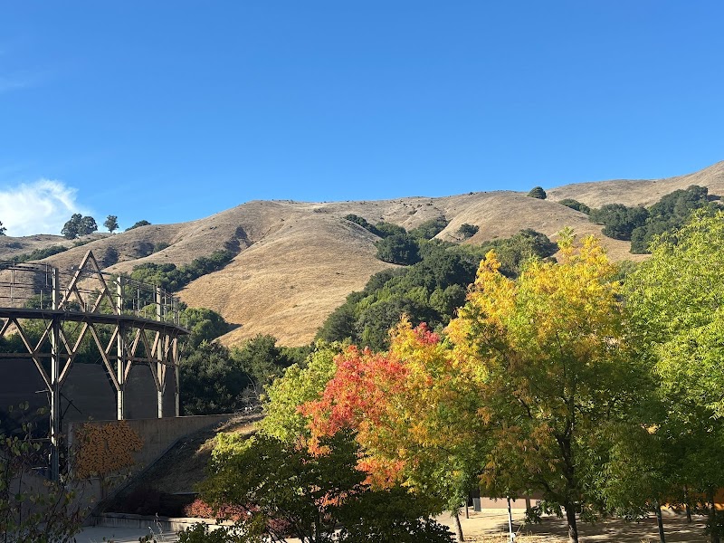 Photo of Siesta Valley Bowl