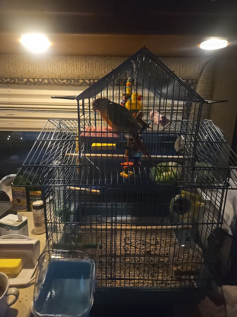 Pet Supermarket photo 3