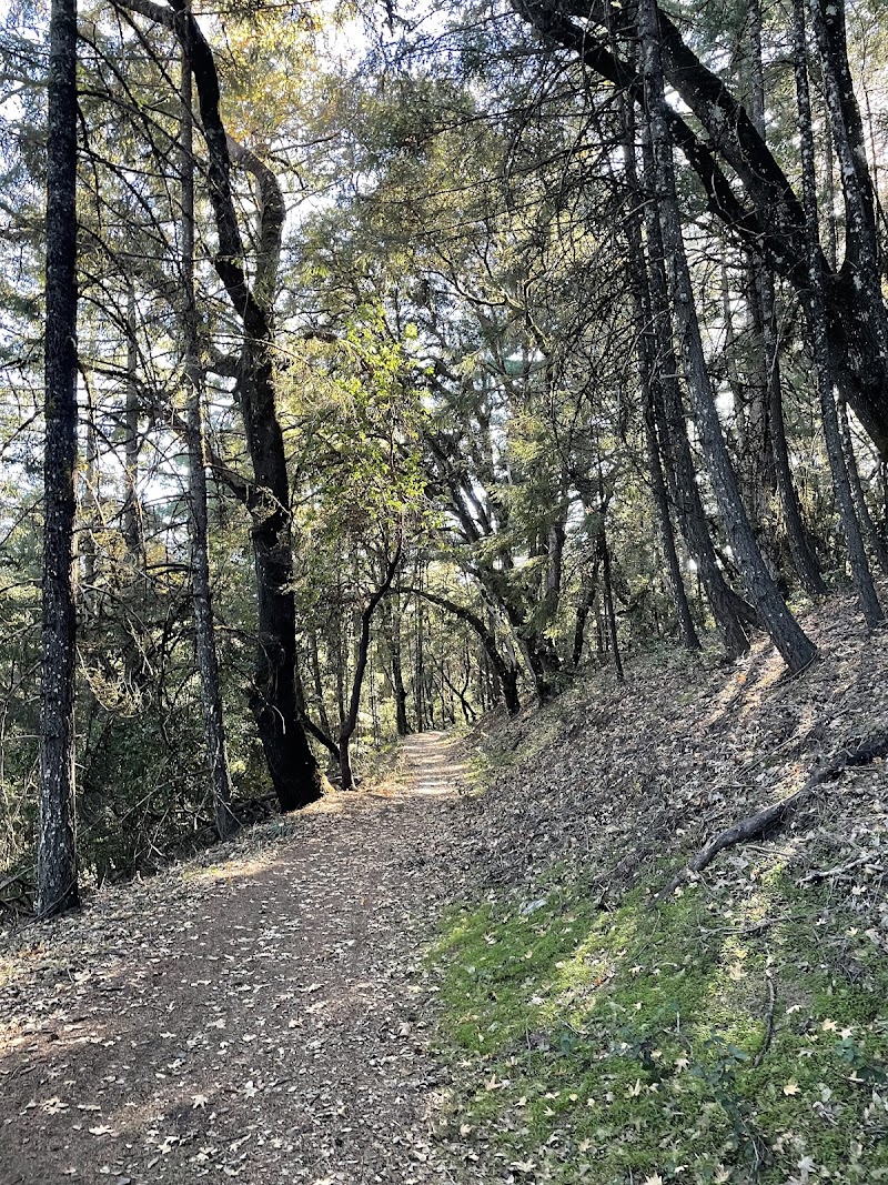 Skyline Trail photo 3