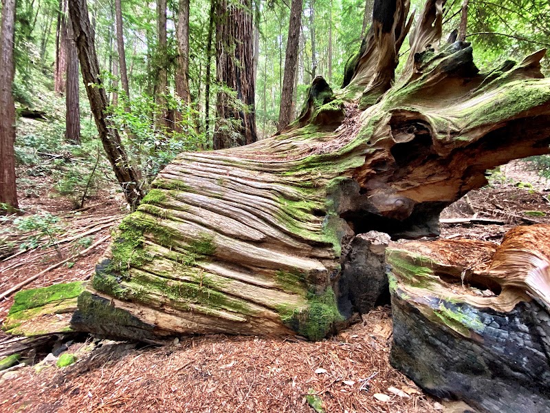 Skyline Trail photo 2