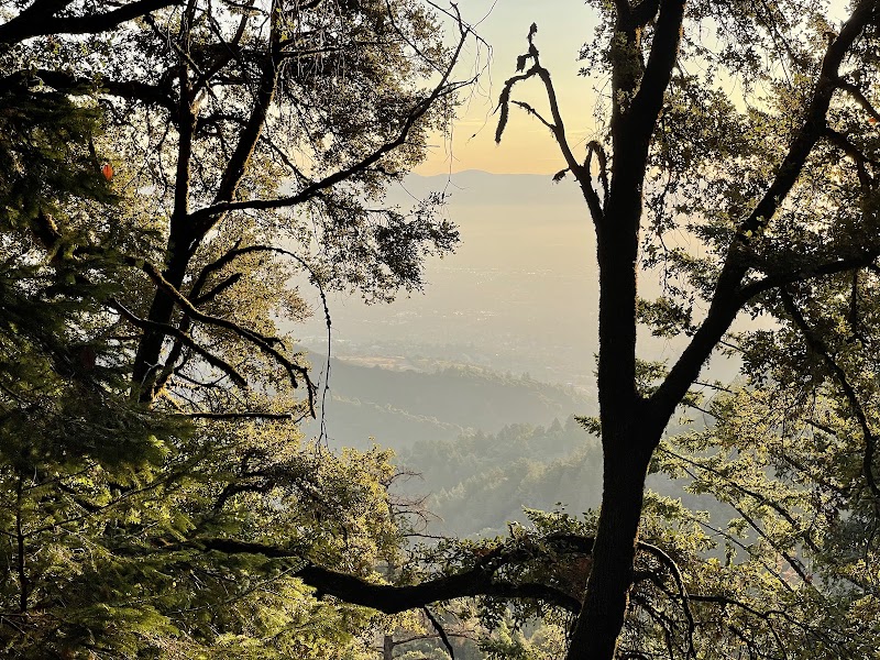 Photo of Skyline Trail