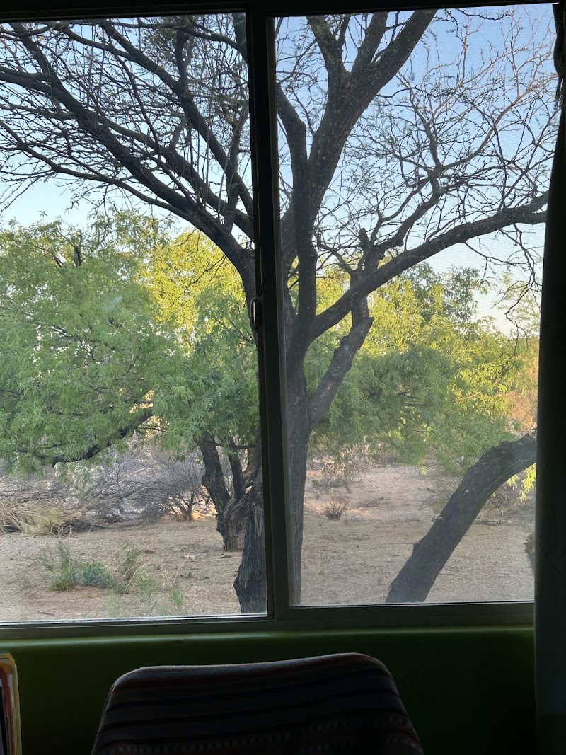 Tucson Bed & Breakfast photo 5