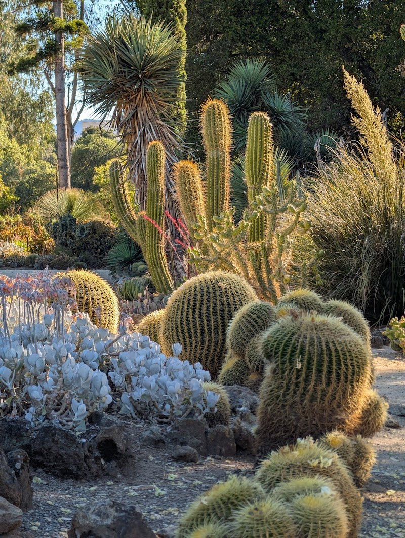 Photo of Arizona Garden